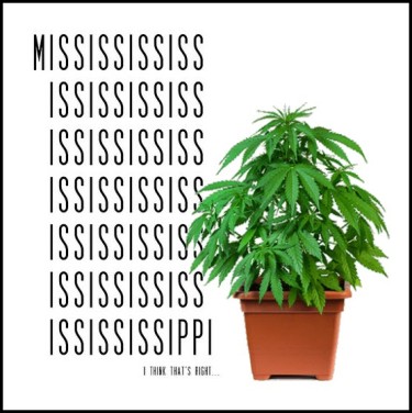 mississippi legalizes medical marijuana 37th state